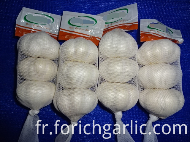 Good Quality Pure White Garlic